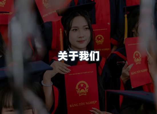 关于我们
